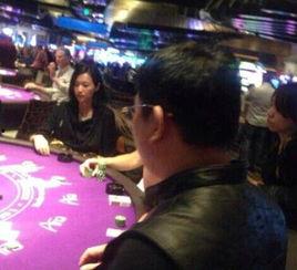 赌博照片,揭秘照片背后的赌博世界