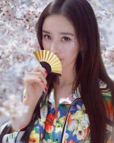 杨幂在娱乐圈名声,娱乐圈的璀璨明星与争议焦点